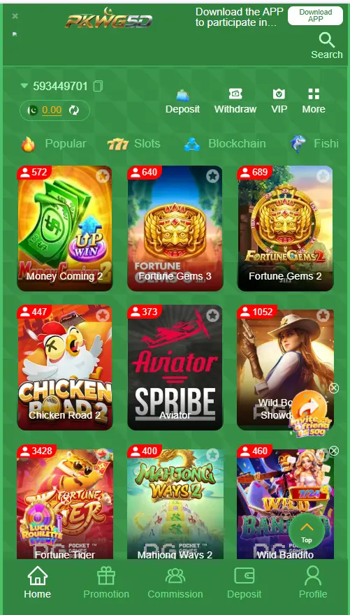 PPKWG5D Game