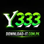 Y333 Game