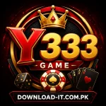 Y333 Game logo